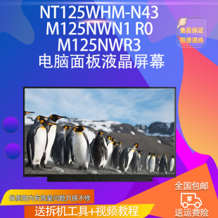M125NWR3 NT125WHM M125NWN1 电脑面板液晶屏幕 N43