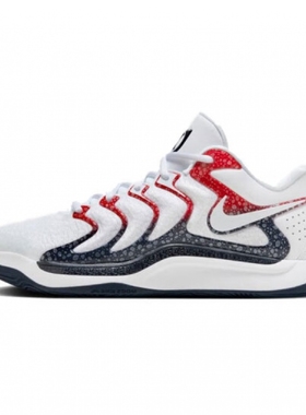 nike耐克男鞋 杜兰特运动鞋场上实战篮球鞋 FJ9488-101