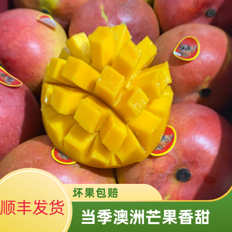 澳洲新鲜大芒果现货顺丰包邮