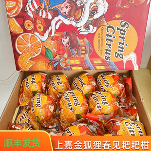 当季现货上嘉金狐狸春见耙耙柑柑橘酸甜口感新鲜水果礼盒发顺丰