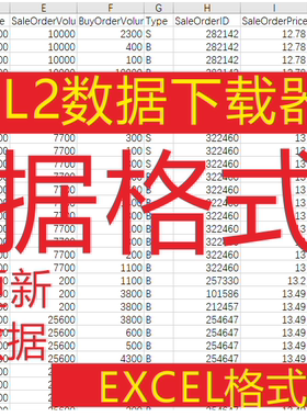 股票level2数据下载逐笔交易tick历史行情数据excel格式量化分析