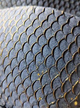 灰色金边鲤鱼皮10*25cm形状如图手工镶嵌饰品钱包耳钉发卡真皮料A