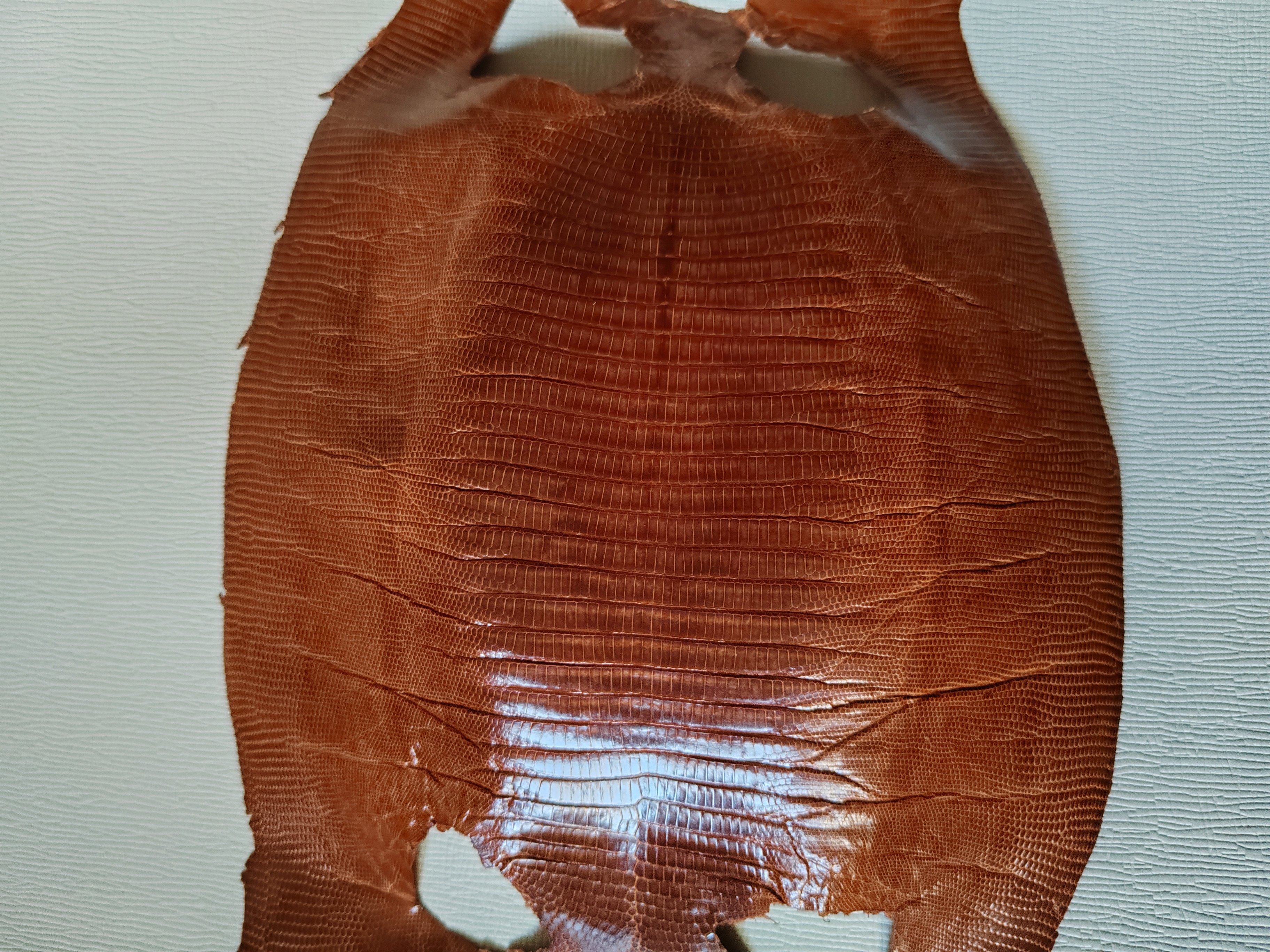 A微瑕处理进口棕色蜥蜴腹纹19x14cm手工拼色玩皮DIY真皮料厚0.5mm