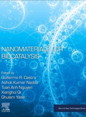 【预订】Nanomaterials for Biocatalysis 9780128244364