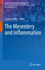 【预订】The Mesentery and Inflammation 9783031177736