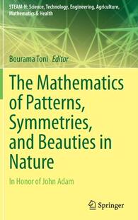 Nature 预订 The Patterns and Symmetries Mathematics 9783030845957 Beauties