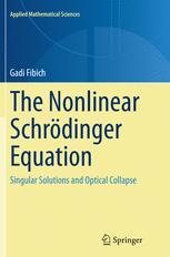 Schrödinger Nonlinear Equation The 预订