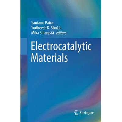 预订 Electrocatalytic Materials电催化材料9783031659010