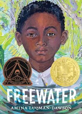 [预订]Freewater (Newbery & Coretta Scott King Award Winner) 9780316056670