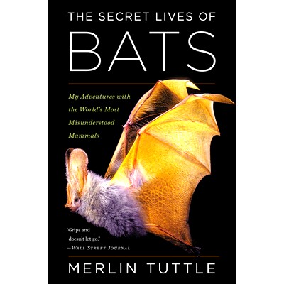 预订 The Secret Lives of Bats: My Adventures with the World’s Most Misunderstood Mammals: 9780544815599