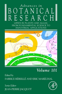 国外库房发货，通常付款后5-8周到货！