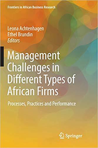 【预售】Management Challenges in Different Types of African Firms: Processes, Practices and Performance-封面