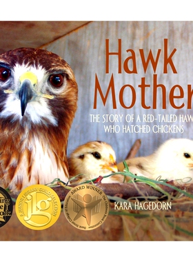 预订 Hawk Mother: The Story of a Red-tailed Hawk Who Hatched Chickens 鹰妈妈: 9781970039078