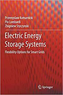 Flexibility Grids Electric Smart for Options Systems Storage Energy 预售