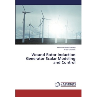 Induction Generator Control Wound 9783659505904 and Rotor Modeling 预订 Scalar