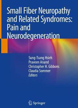 【预订】Small Fiber Neuropathy and Related Syndromes: Pain and Neurodegeneration