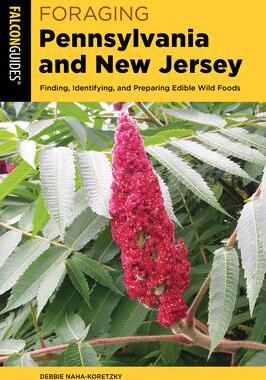 [预订]Foraging Pennsylvania and New Jersey: Finding, Identifying, and Preparing Edible Wild Foods 9781493056279