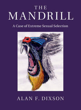 预订 The Mandrill