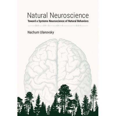 Toward a Systems Neuroscience of Natural