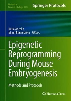 【预订】Epigenetic Reprogramming During Mouse Embryogenesis