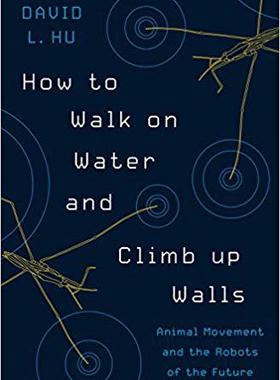 【预订】How to Walk on Water and Climb up Walls