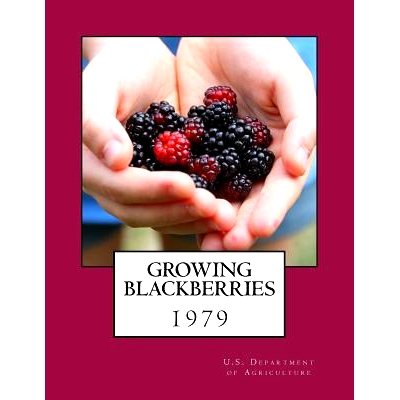 预订 Growing Blackberries: 9781984026453