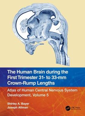 [预订]The Human Brain during the First Trimester 31- to 33-mm Crown-Rump Lengths 9781032183329