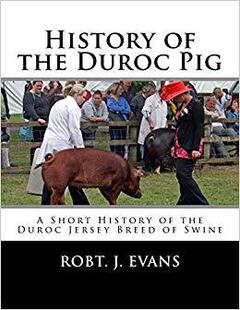 【预售】History of the Duroc Pig: A Short Hi...