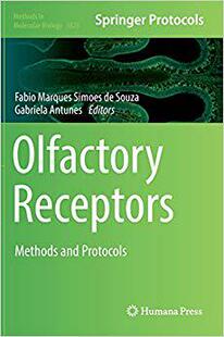 Olfactory Receptors 预售
