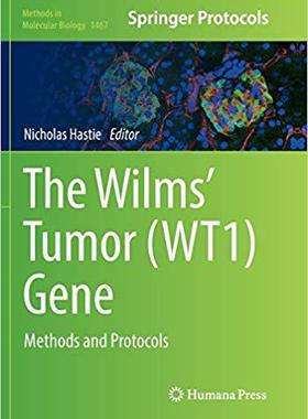 【预售】The Wilms’ Tumor (Wt1) Gene: Methods...