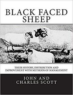 Faced Black Sheep Their Di... History 预售