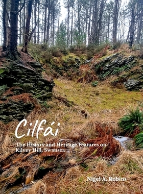 预订 Cilfái: The History and Heritage Features on Kilvey Hill, Swansea: 9781739353322