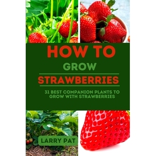 预订 How to Grow Strawberries: 31 best companion plants to grow with strawberries: 9798857466629