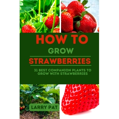 预订 How to Grow Strawberries: 31 best companion plants to grow with strawberries: 9798857466629