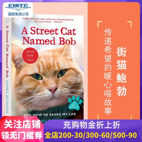 一只名叫鲍勃街头流浪