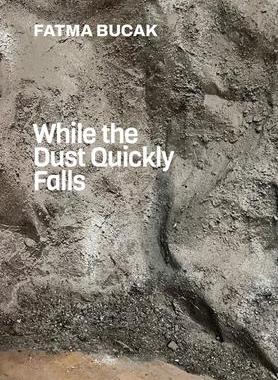 [预订]Fatma Bucak : while the dust quickly falls 9788867495474