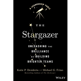 9781394280537 Stargazer Teams Brighter Building Brilliance the Unleashing The 预订