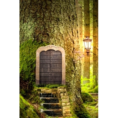 预订 Forest Door, Discreet Internet Password Logbook, Large Print: 9781960591012