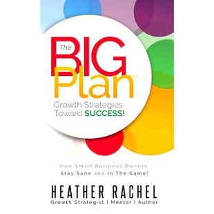 预订 The B.I.G. Plan: How Smart Business Owners Stay Sane and In The Game: 9781539090649