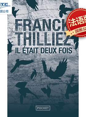 两度 Il était deux fois 弗兰克·蒂利耶 Franck Thilliez 法国现代悬疑小说 法语原版 未完成的手稿作者
