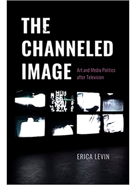 预订 The Channeled Image: Art and Media Politics after Television 引导图像:电视后的艺术与媒体政治: 9780226821917