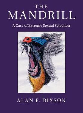 预订 The Mandrill