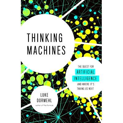 The Quest for Artificial Intelligence--a
