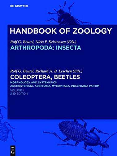 [预订]Coleoptera, Beetles. Morphology and Systematics 9783110249064