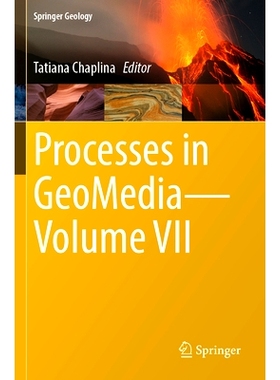 预订 Processes in GeoMedia—Volume VII 几何介质中的过程 第7卷: 9789819965779