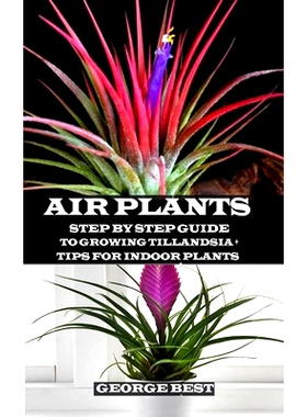 预订 Air Plant: Step by Step Guide to Growing Tillandsia + Tips for Indoor Plants: 9781691593125
