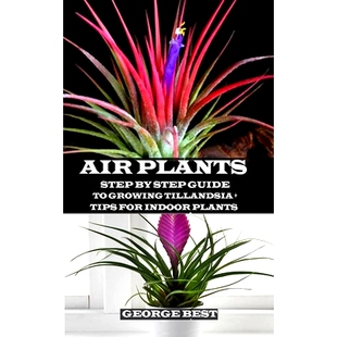 预订 Air Plant: Step by Step Guide to Growing Tillandsia + Tips for Indoor Plants: 9781691593125