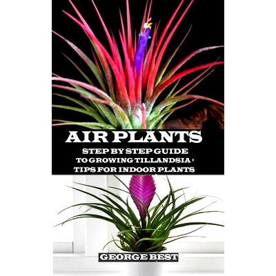预订 Air Plant: Step by Step Guide to Growing Tillandsia + Tips for Indoor Plants: 9781691593125