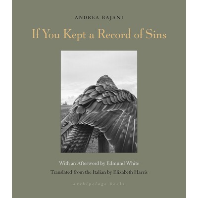 预订 If You Kept a Record of Sins 如果你有罪的记录: 9781939810960