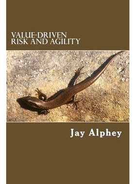 预订 Value-Driven Risk and Agility: Planning That Delivers Value in Changing Environments: 9781533342003